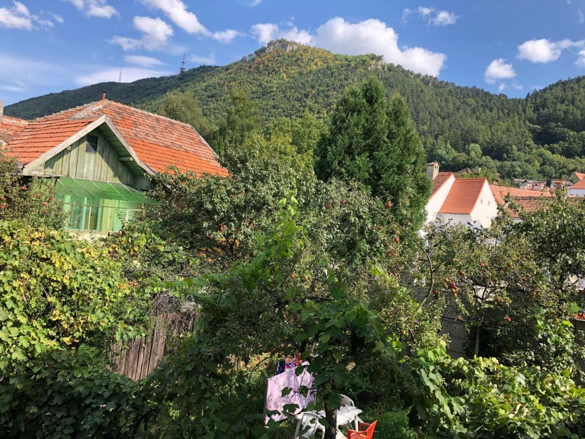 Schei Apartment 2 Brasov Bagian luar foto